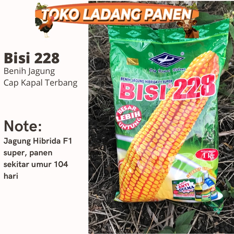 Benih Jagung Bisi 228 Cap Kapal Terbang 1kg | Benih Jagung Hibrida