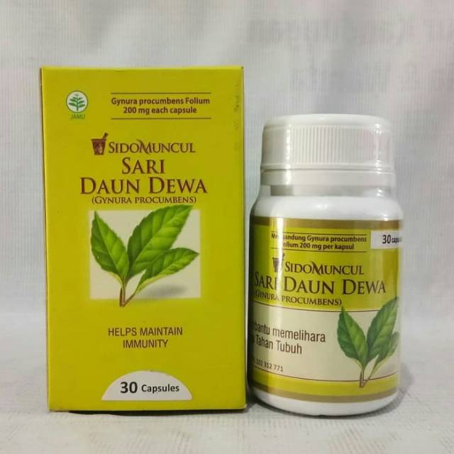 

Sidomuncul sari daun dewa