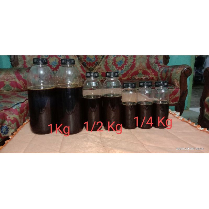 

Madu Asli Lebah APIS MELLIFERA NEKTAR AKASIA CARPA