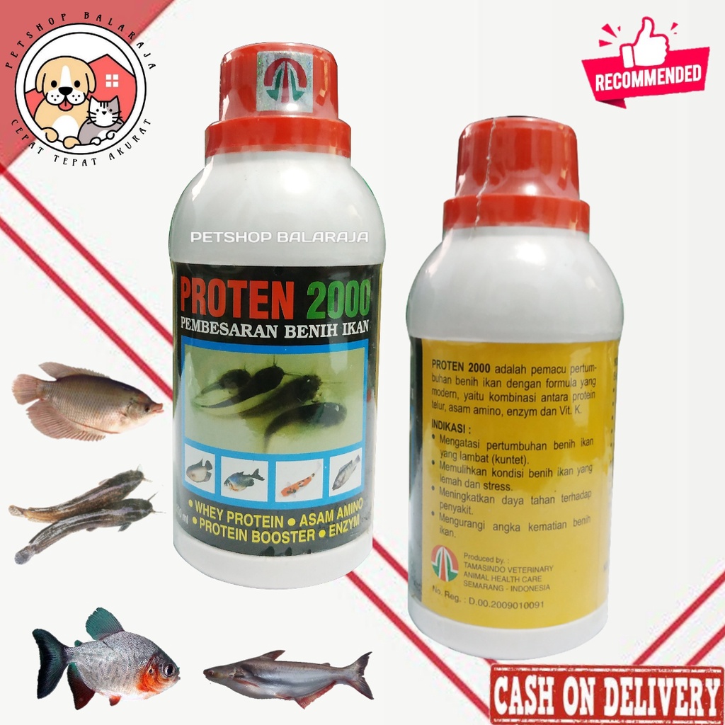 VITAMIN PEMBESARAN BENIH IKAN MAS NILA LELE PATIN BOOSTER PENGGEMUK PROTEN 2000