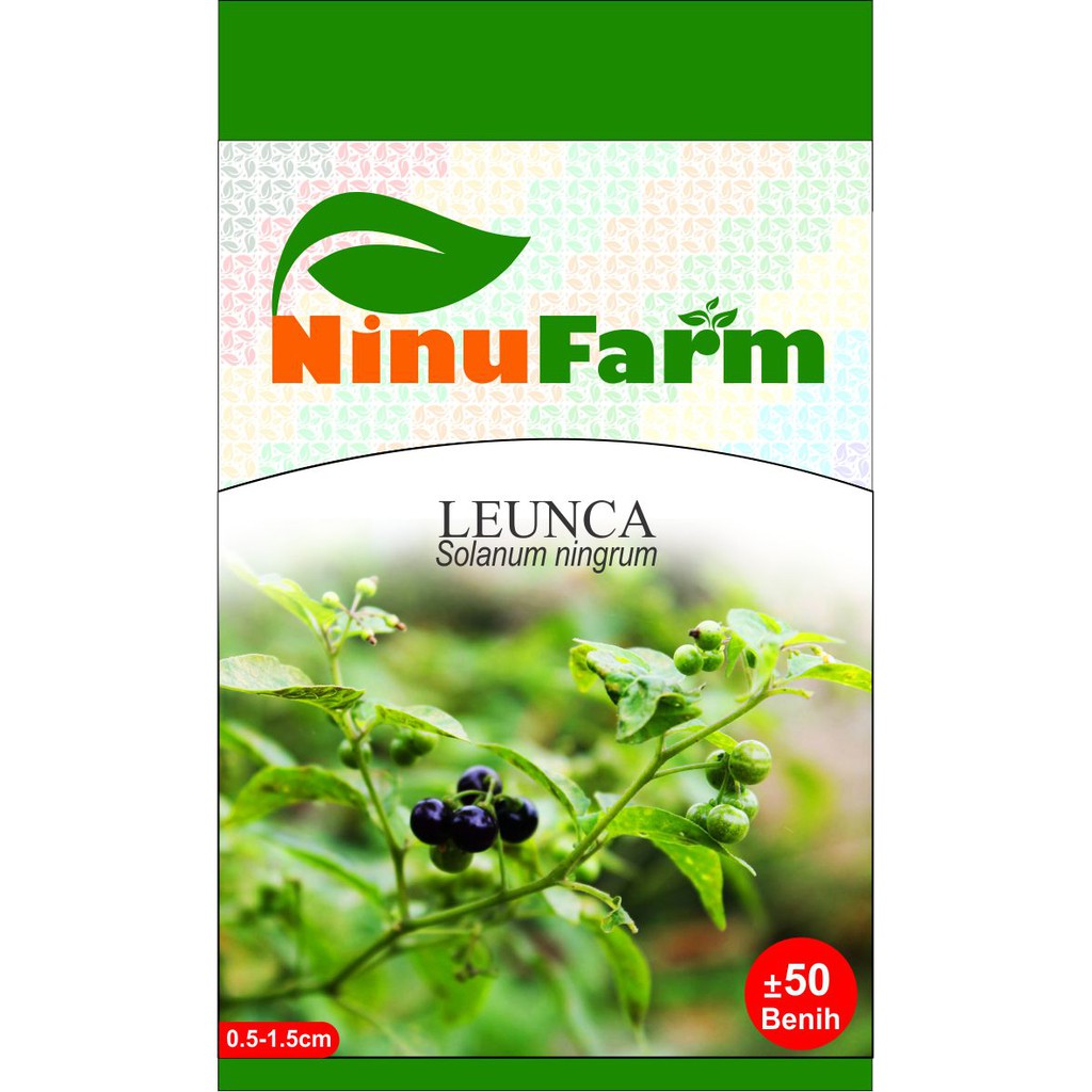Benih Leunca 50Seeds