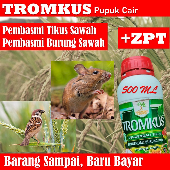 [PROMO MURAH] Pupuk Cair TROMKUS Obat Hama Racun Tikus & Burung Padi - Tromkus Obat Racun Hama Burun