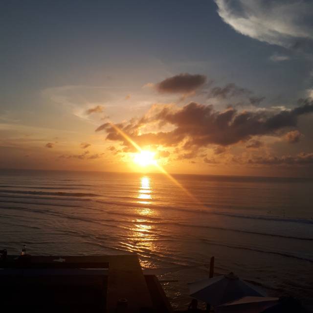setyasiwi