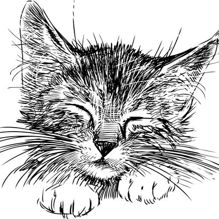 

MENYURAT-SURAT- AMPLOP KUCING ANGPAO -SURAT-MENYURAT.
