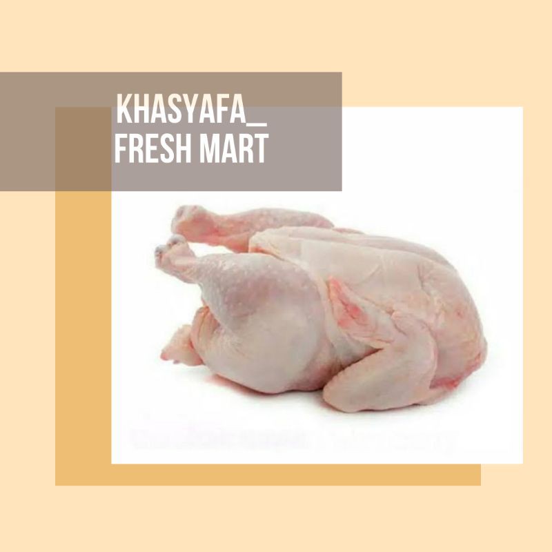 

Ayam Broiler Ayam Negeri