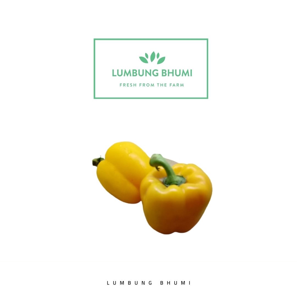 

Lumbung Bhumi - Paprika Kuning 500 Gr ( Sayur Curah )