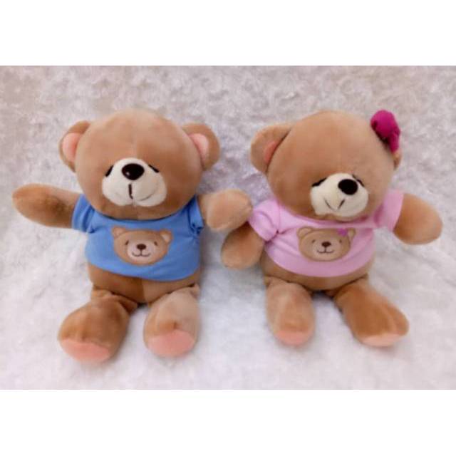 Boneka Bear  FF Couple