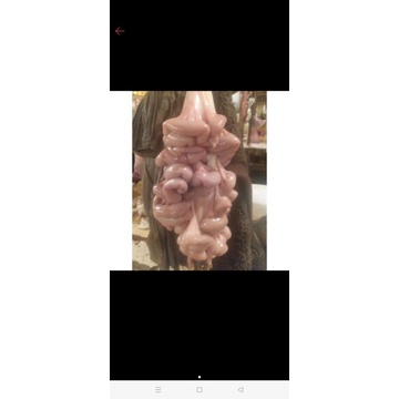 

Usus Sapi siap masak