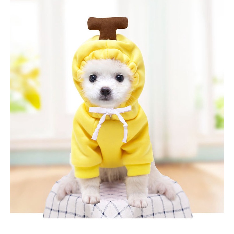 Pet Clothes Baju Hoodie Model Buah Dan Hewan Lucu Menggemaskan  Untuk Anjing Dan Kucing