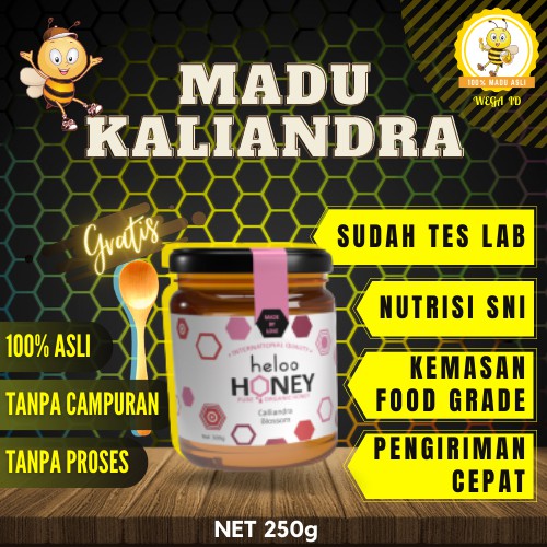 

Madu Kaliandra Asli Murni Raw Honey Organik Netto 250 gram Minuman Kesehatan