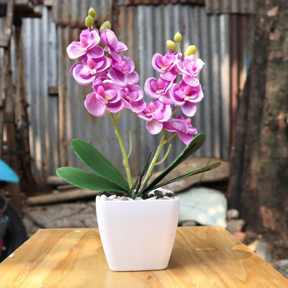 Barang Baru Vio ID Bunga Artificial Bunga Dekorasi Barang Baru Vio ID Bunga Artificial Bunga Dekorasi
