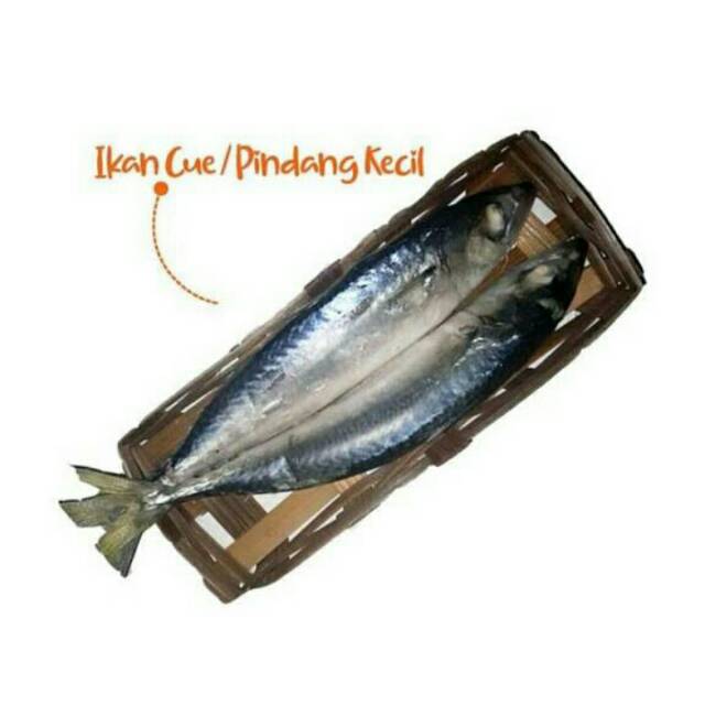 

Ikan cue pindang ( 1 ktk = isi 2 pcs)