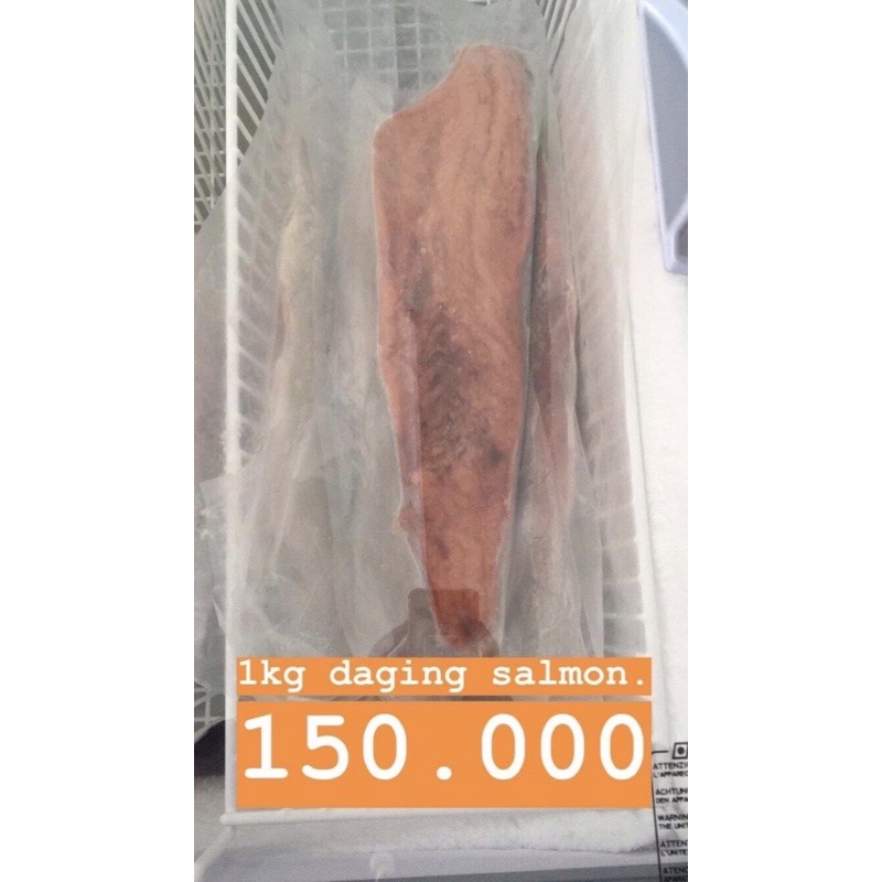 

DAGING SALMON