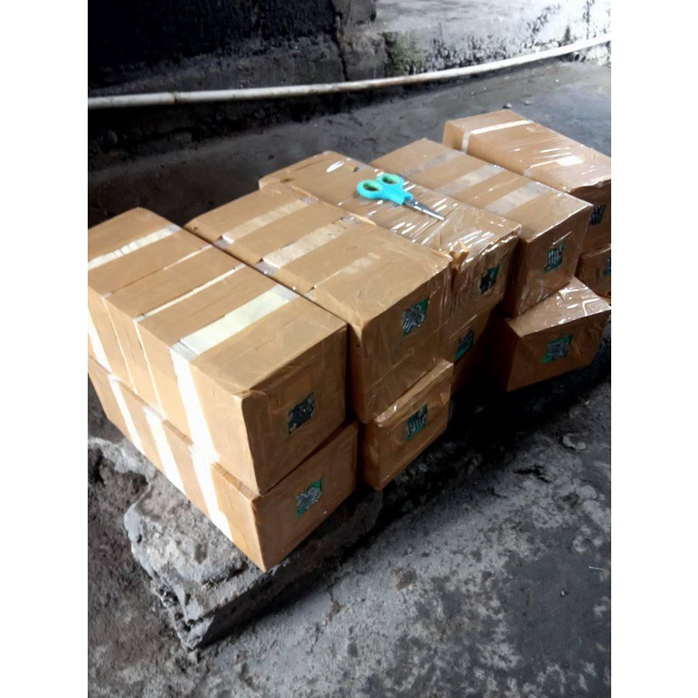 Sarang Bibit Lebah Kanceng Atau Trigona Klanceng Super Biroi Stup Jos