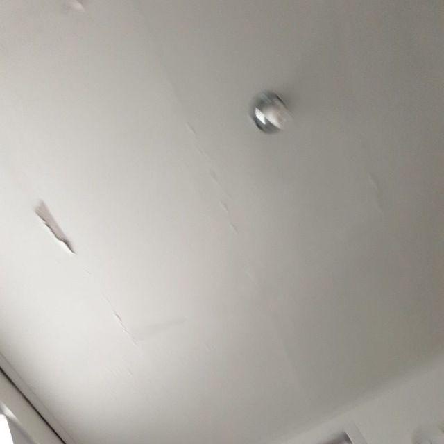 Aganol Antibacterial Floor Cleaner Lavender 630 Ml