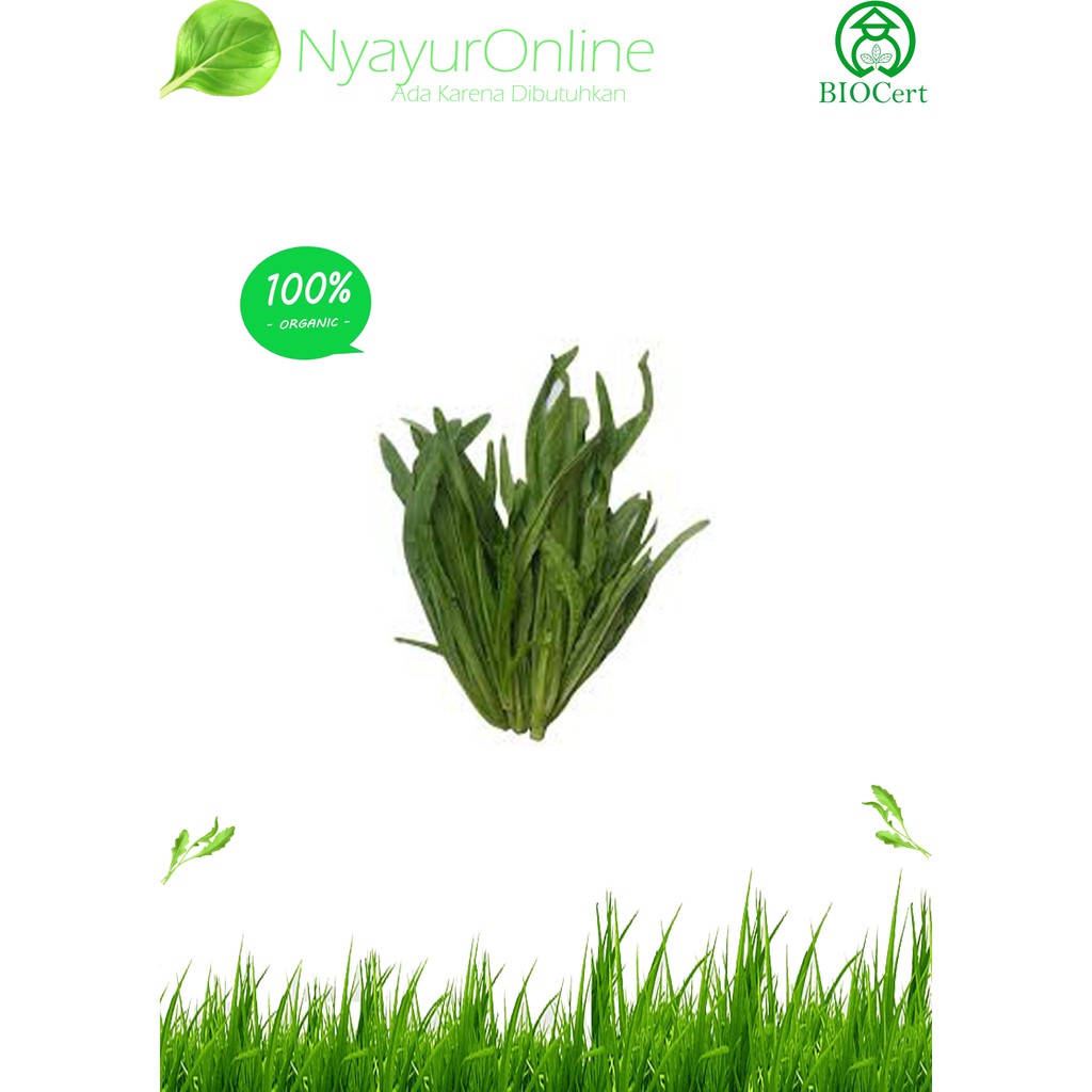 

Sayuran Siomak Organik 200 gram