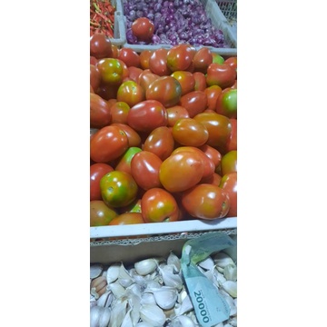 

Tomat besar segar 5kg