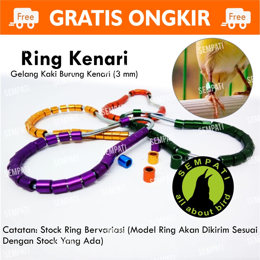 440 Koleksi Gambar Kaki Unggas HD Terbaik