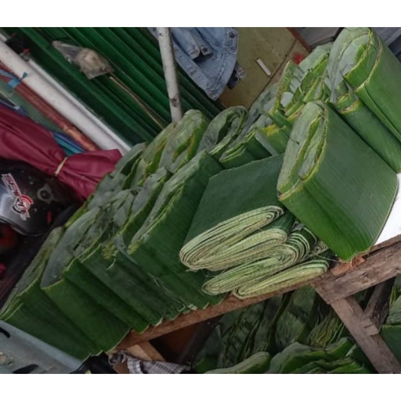 

daun pisang batu segar