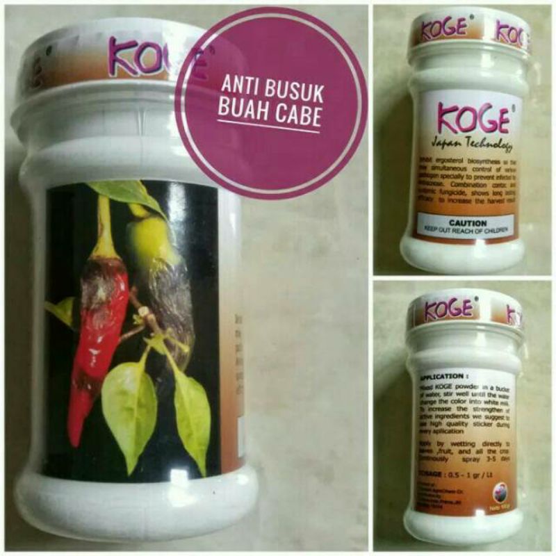 KOGE 50gr obat busuk cabe,anti busuk cabe