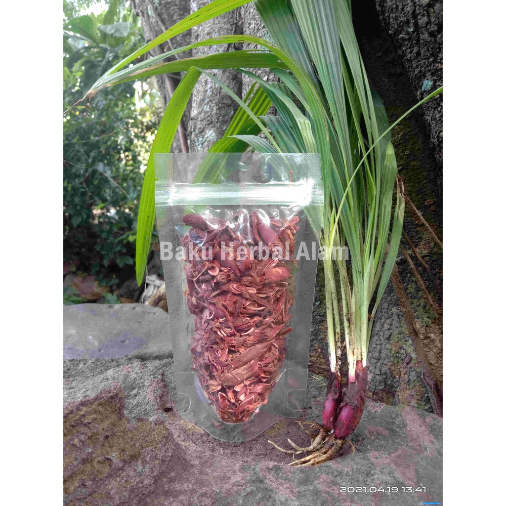 MURAH 1KG Bawang Dayak Khasiat 36+ Penyakit