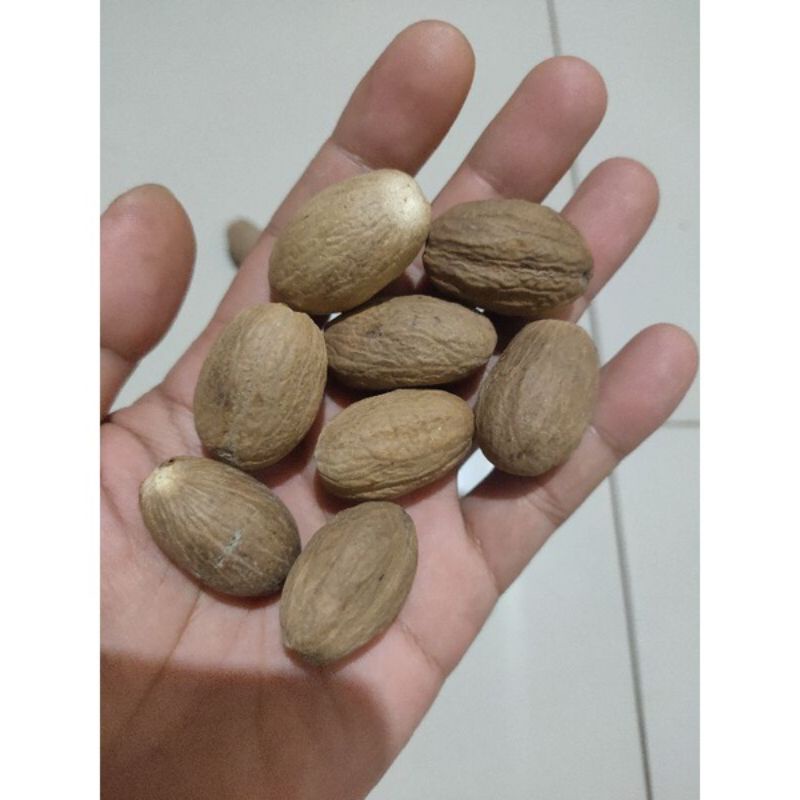 

pala kupas | bumbu renceng isi 10pcs