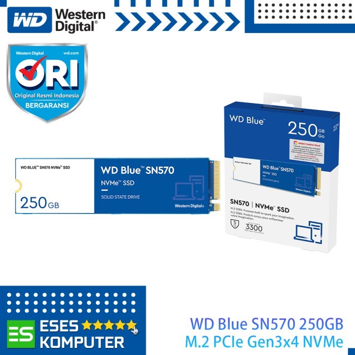 SSD WD Blue SN570 250GB M.2 2280 PCIe Gen3 x4 NVMe