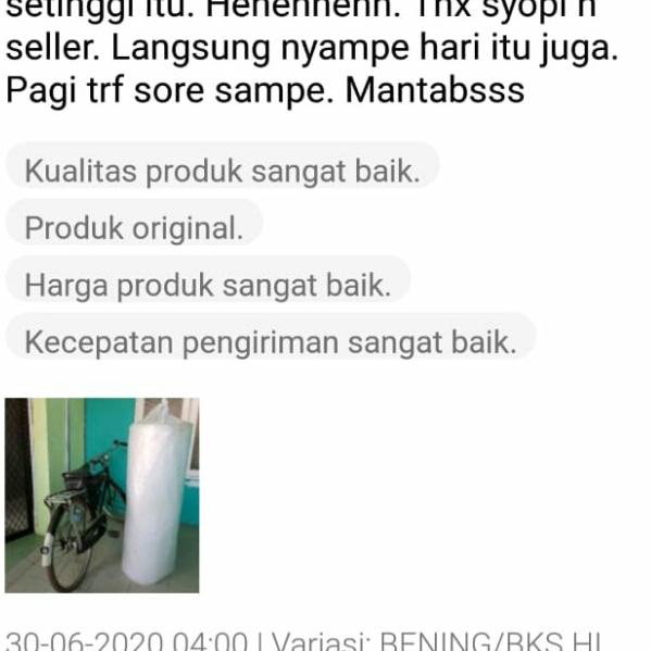 

™ Bubble Wrap 31cm x 50 Meter - BENING ✹