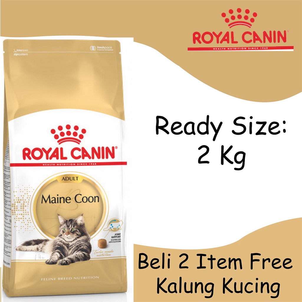 Royal Canin Maine Coon Adult 2kg-Makanan Khusus Maine Coon