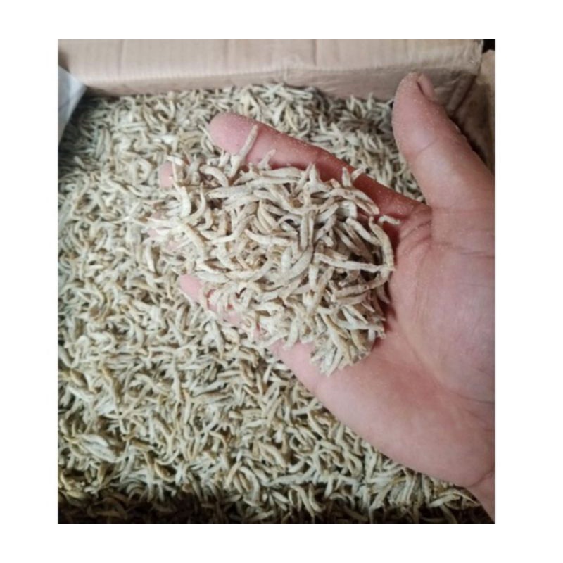 

Asin Teri medan Rebus 1 kg termurah