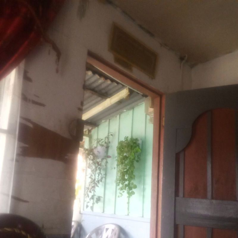 bunga hias tempel dinding