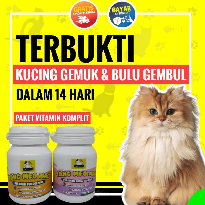 Vitamin Kucing Nafsu Makan &amp; Vitamin Bulu Lebat Dan Sehat