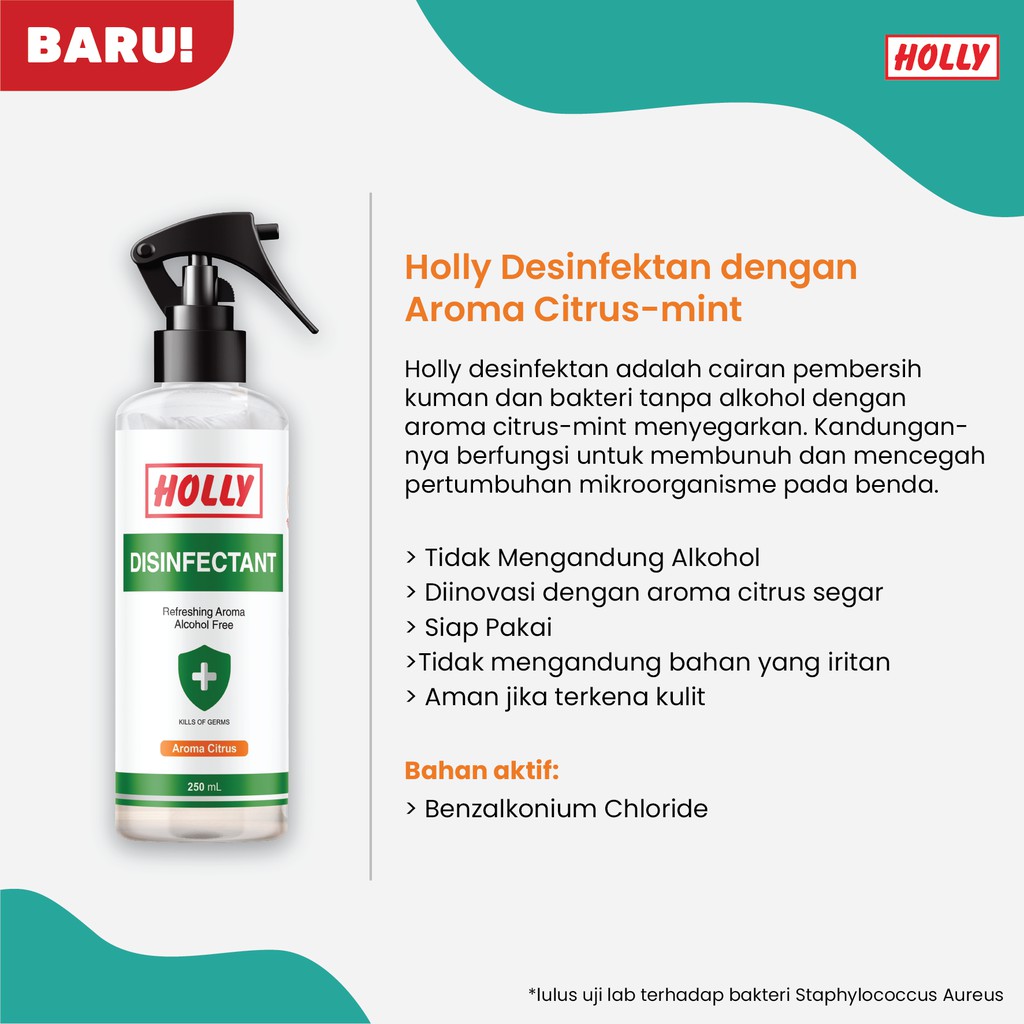 Holly Disinfectant 250ml