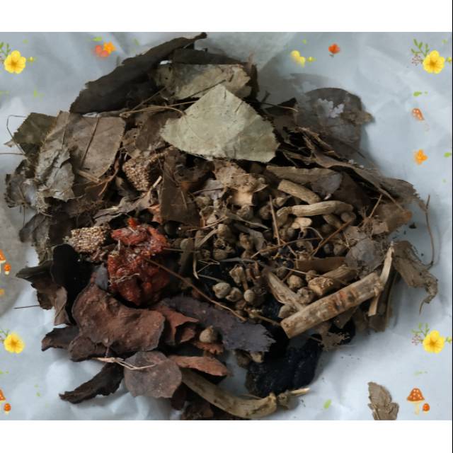 Obat Herbal Alami Stamina Kuat Pria