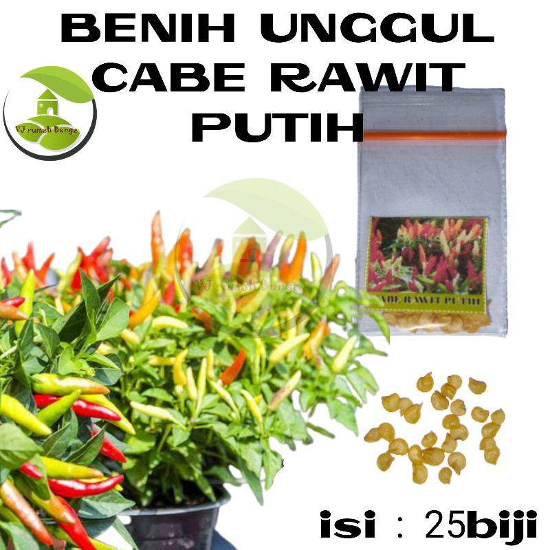 Benih Sayuran Unggul Ratusan Benih Sayur Benih Bibit Sayuran-Cabe Rawit Putih