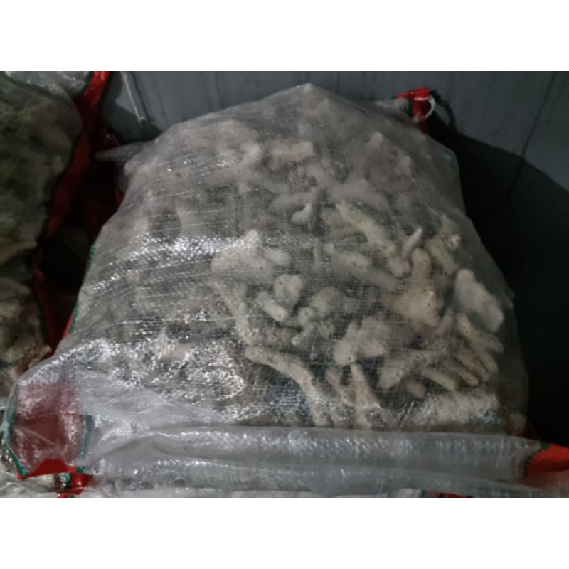 Karang Jahe / media filter aquarium kemasan 10 kg