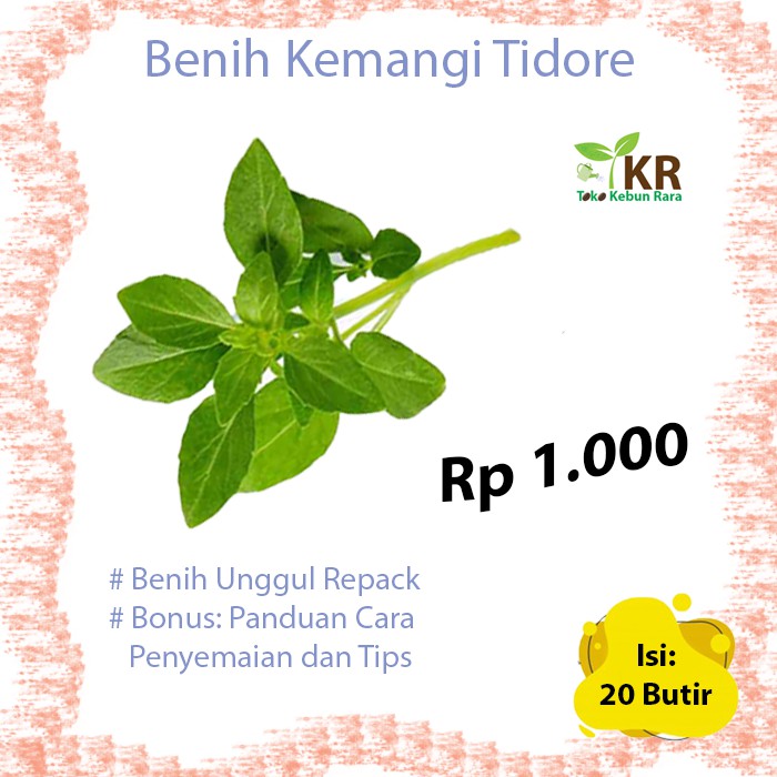 Benih Bibit Unggul Kemangi Tidore Repack