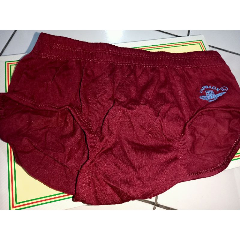 CELANA DALAM PRIA MERK PAPILLON