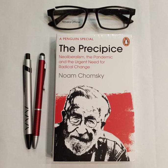 The Precipice - Noam Chomsky