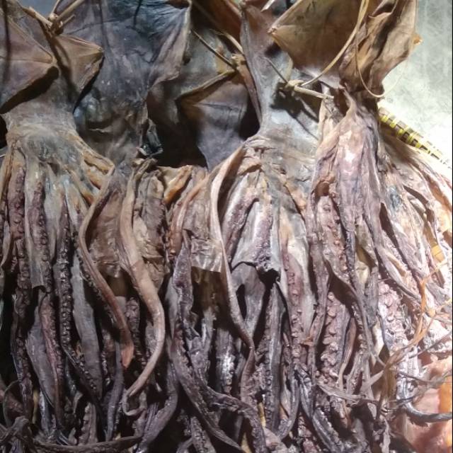 

Gurita kering
