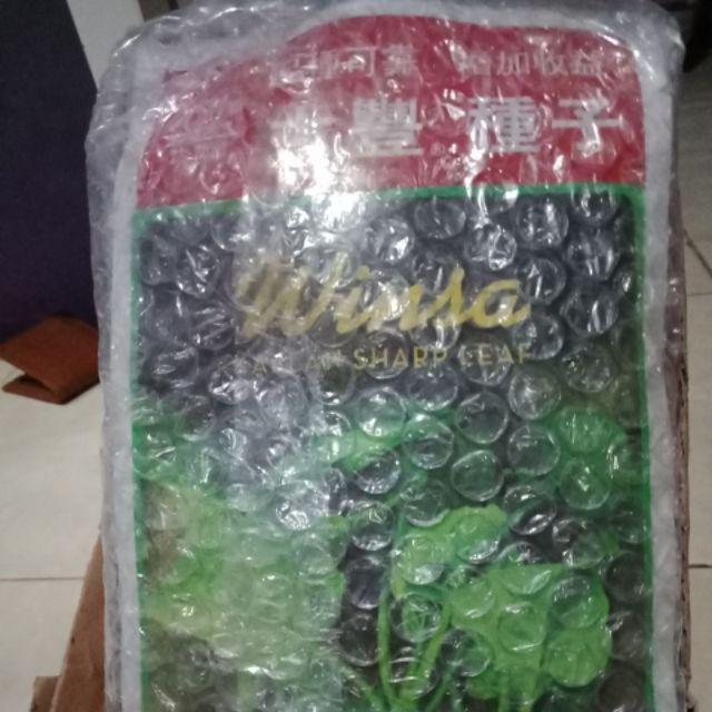 Benih Sayuran Kailan Kale @ 20 Gr Biji Benih Sayuran Bibit Sayur Tanaman Hidroponik Organik