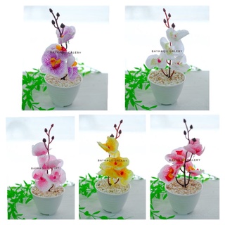 Image of BUNGA HIAS ANGGREK DENDORIUM ARTIFICIAL MURAH D10 CM// BUNGA HIAS ANGGREK IMPORT MURAH// DEKORASI RUMAH// HIASAN RUMAH// BUNGA HIAS PLASTIK// BUNGA HIAS ORCHID