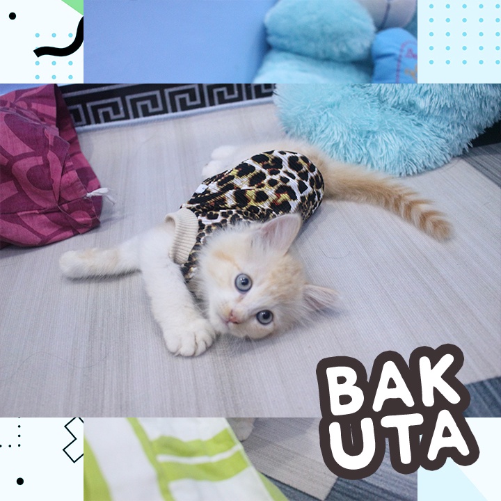 Kaos Lengan pendek motif macan gemes / Baju Kucing tangerang murah / baju kucing lucu size S-XL