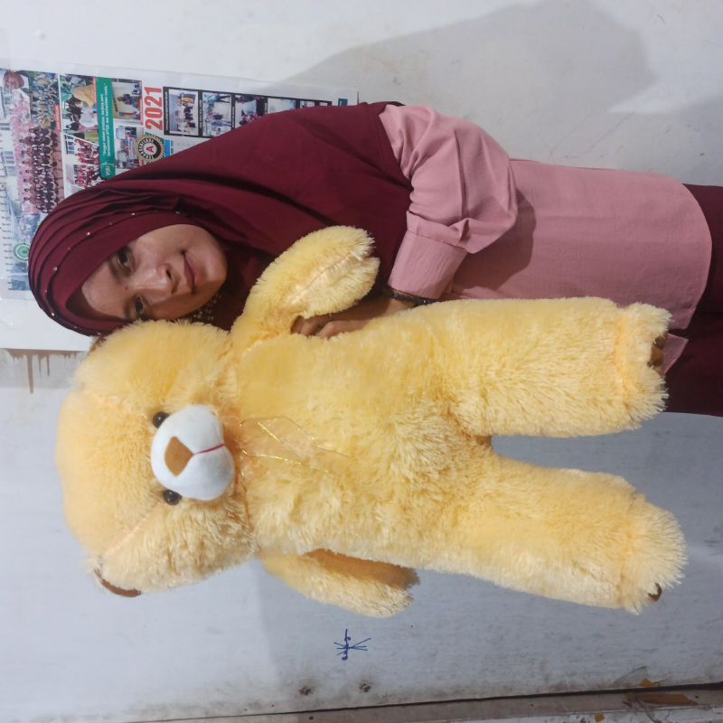 Boneka Teddy Bear Xl 70CM