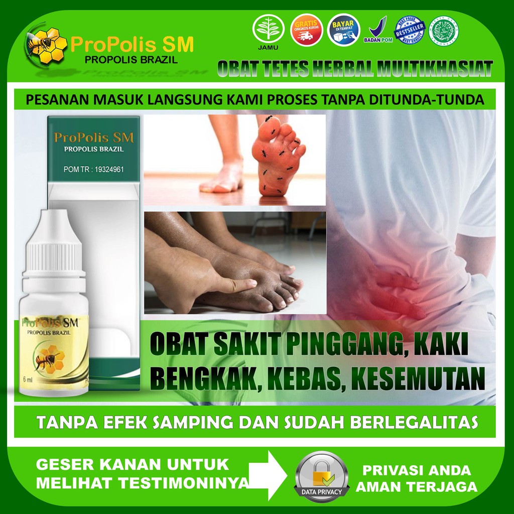 Jual Propolis Sm Obat Tetes Herbal Kaki Bengkak Kesemutan Kebas Mati Rasa Kaki Bengkak Sebelah 4427