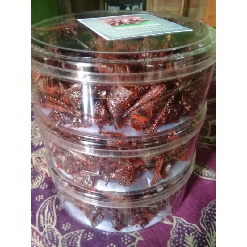 

Belalang goreng kriuk aneka rasa