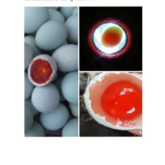 

Telor asin OMEGA/ manik merah/Masir dan berminyak grade A (min. 5butir)