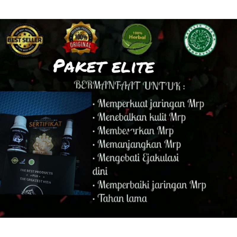 mustang power | PAKET ELLITE