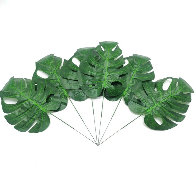 

Daun Monstera (1 Set 20 Tangkai) HA3319
