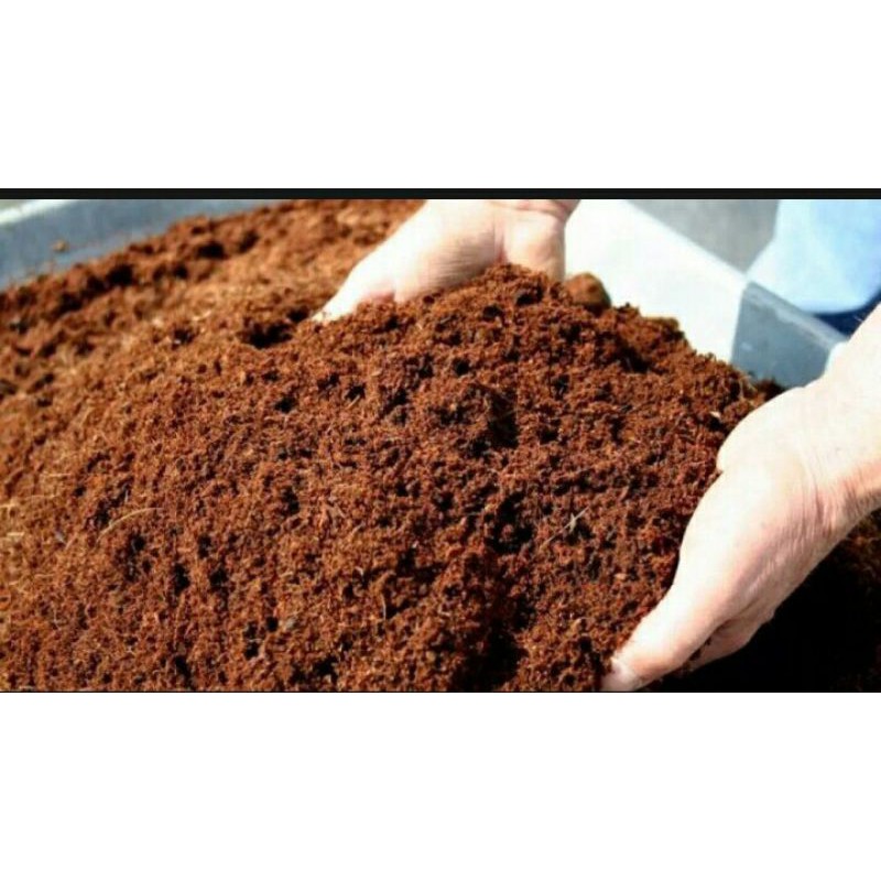 cocopeat / cocopeat murni 1 kg